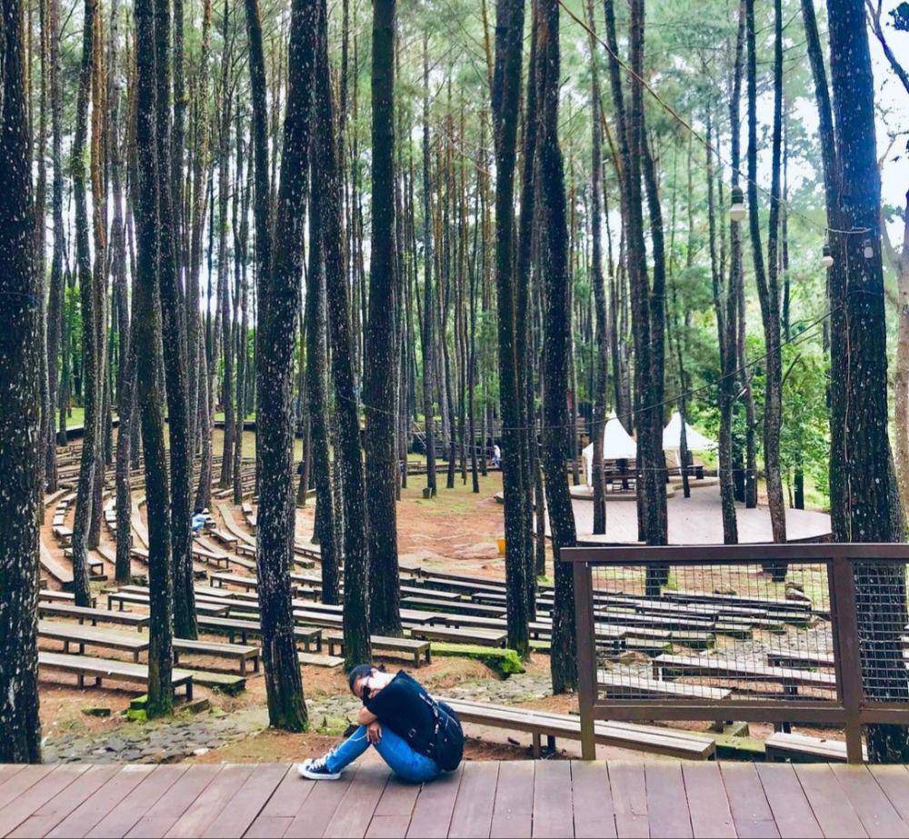 Hutan Pinus Mangunan (instagram.com/xxiblueday)