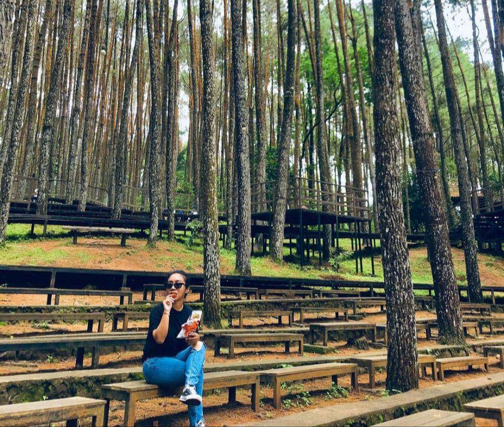 Hutan Pinus Mangunan (instagram.com/xxiblueday)