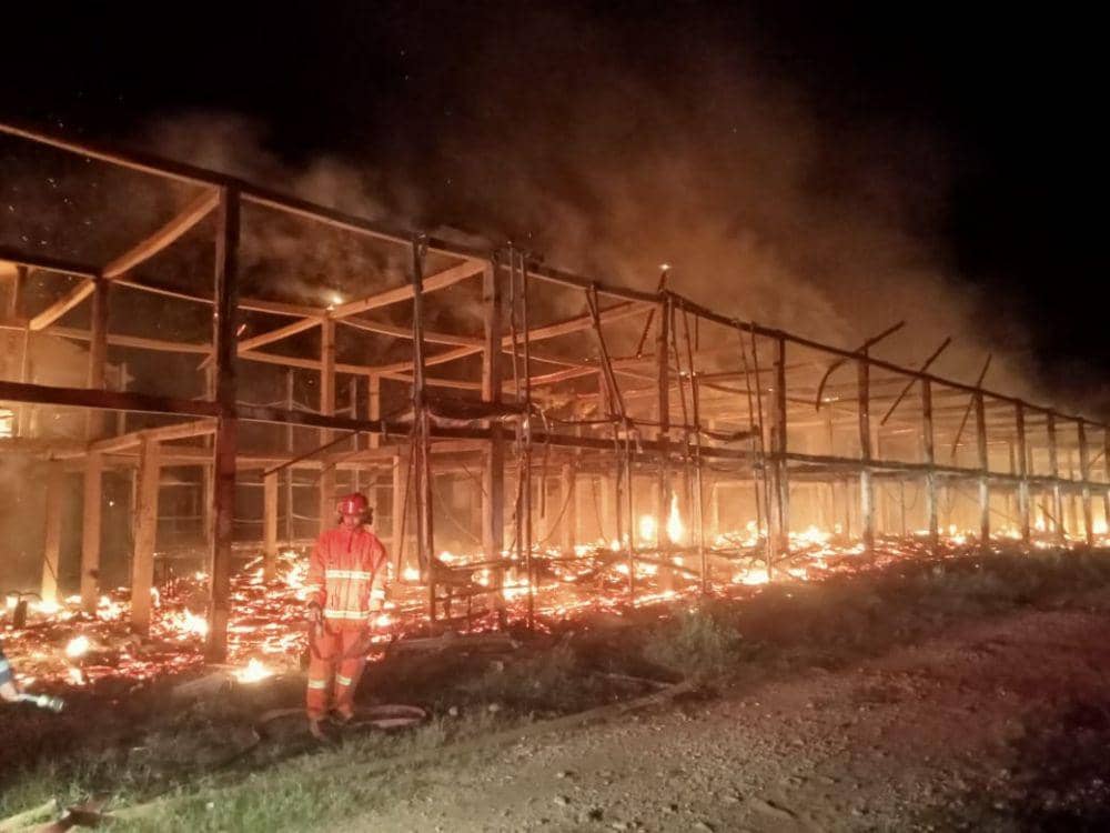Kandang Ayam di Pringsewu Terbakar, 18 Ribu Ekor Ayam Mati Terpanggang