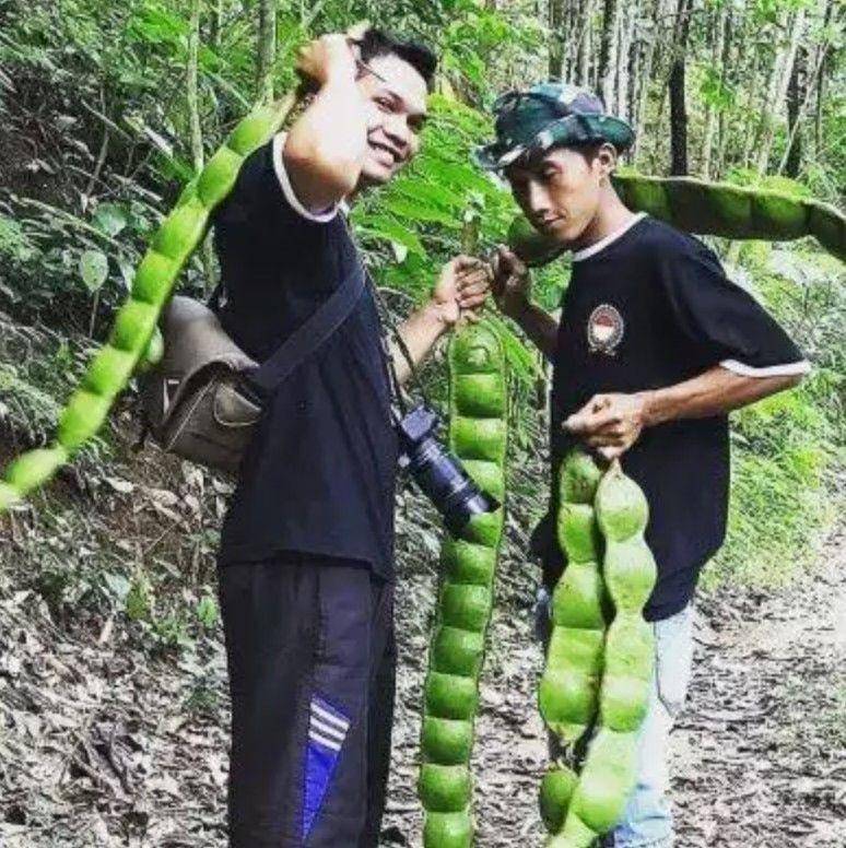 makanan ukuran tak biasa (instagram.com/meme.wkwk)