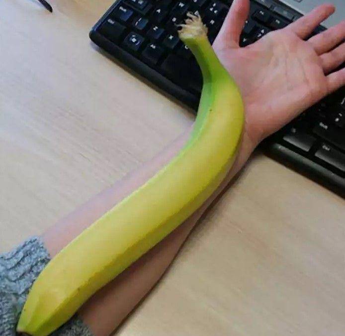 makanan ukuran tak biasa (boredpanda.com)