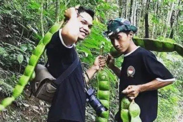 8 Potret Makanan dengan Ukuran Gak Biasa Ini Bikin Mata Melotot