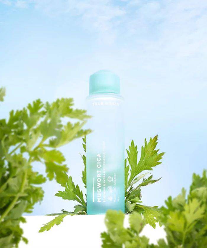 True To Skin Mugwort Cica Soothing & Hydrating Essence Toner (dok. True To Skin)