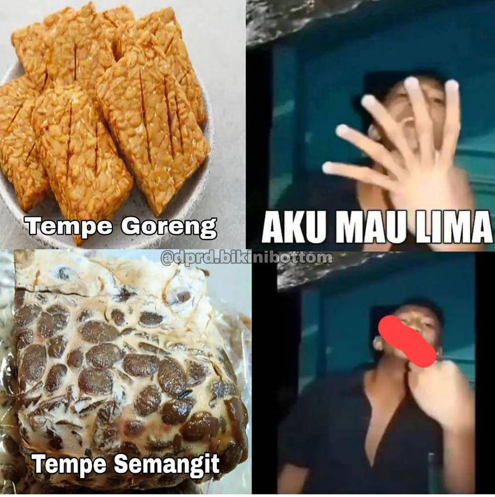 meme tempe goreng (instagram.com/dord.bikinibottom)