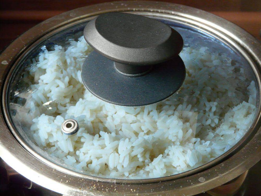 ilustrasi nasi pulen (pixabay.com/Hans)