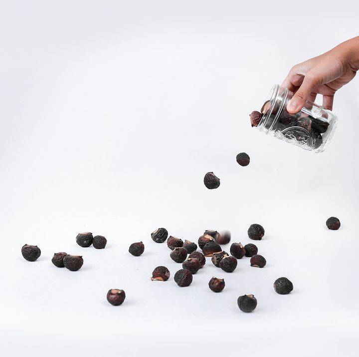 Buah lerak (instagram.com/sustaination)
