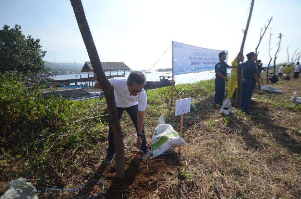 PT SPMT melakukan penghijauan di area Pelabuhan Tanjung Wangi, Banyuwangi sepanjang bulan Juni 2023. (Dok. IDN Times)