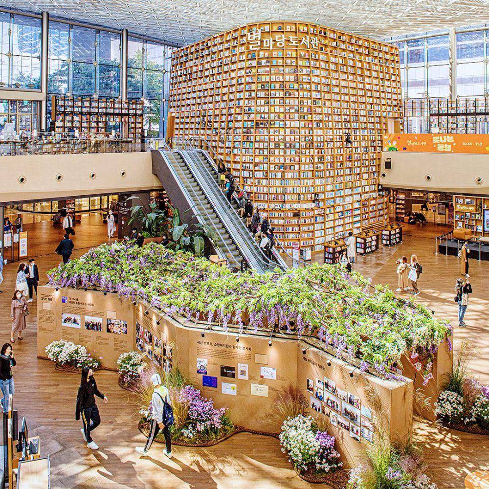 Starfield Library (instagram.com/starfield.library)