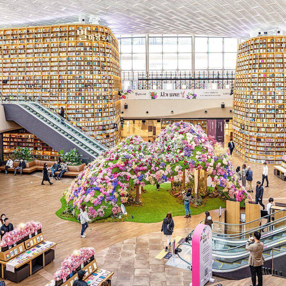 Starfield Library (instagram.com/starfield.library)