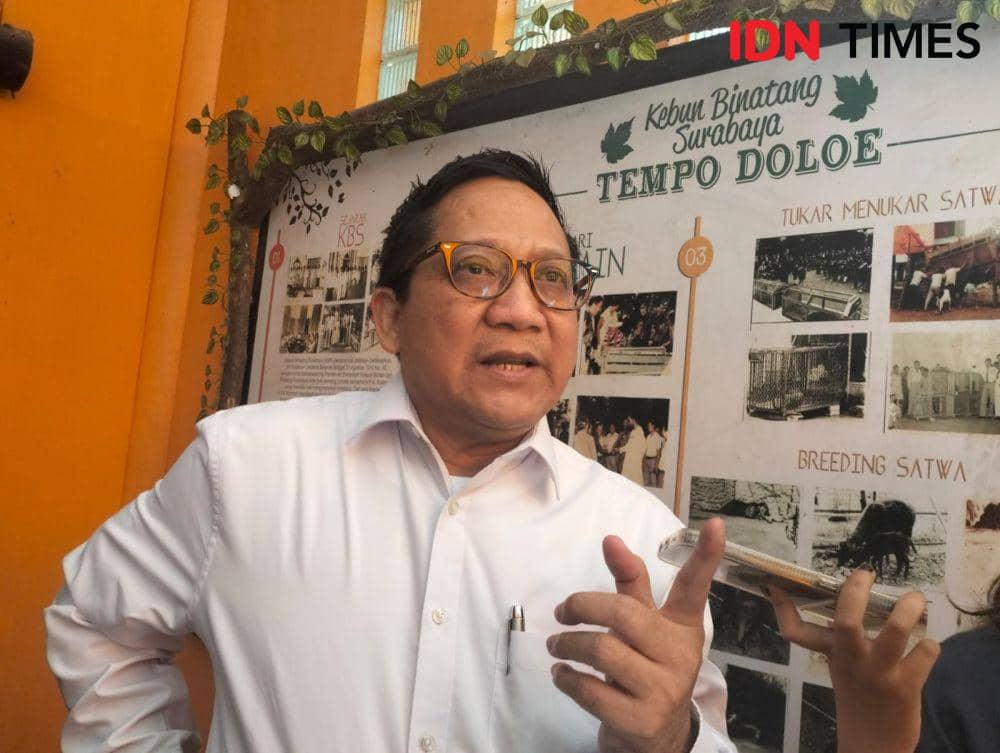 Surabaya Night Zoo Sempat Tutup Karena Kuota Pengunjung Kurang