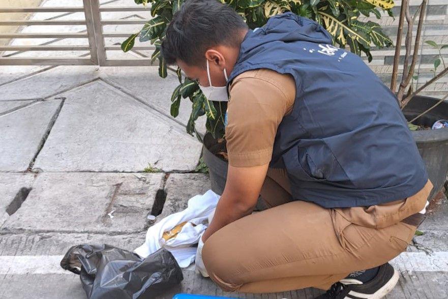 21 Kucing Mati Misterius di Sunter, Dinas KPKP DKI Investigasi