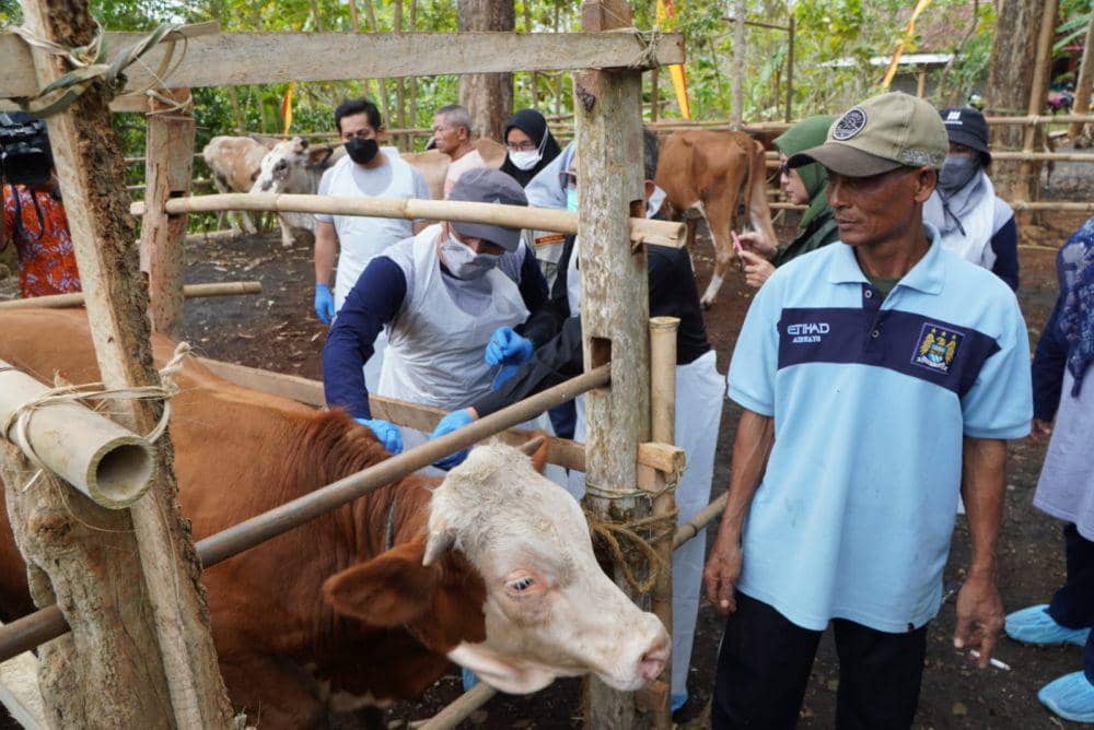 Vaksinasi ternak di Kalurahan Candirejo, Kapanewon Semanu, Kabupaten Gunungkidul.(Dok.Istimewa)