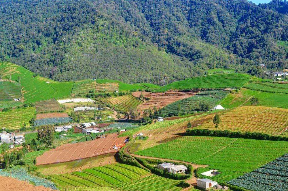 4 Tempat Wisata Alam Gratis di Batu Malang untuk Healing