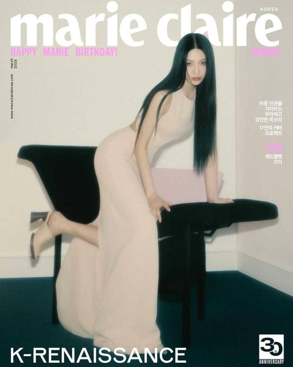 Joy Red Velvet (instagram.com/_imyour_joy)