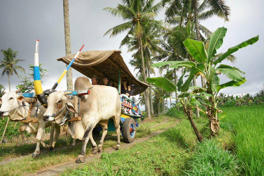 momen Wulan Guritno ajak anak liburan di Jogja (instagram.com/wulanguritno)