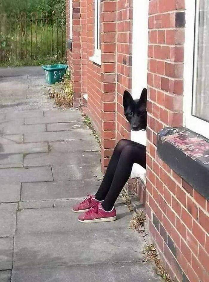potret lucu mirip gambar yang biasa ada di komik (facebook.com/Unusual Images)