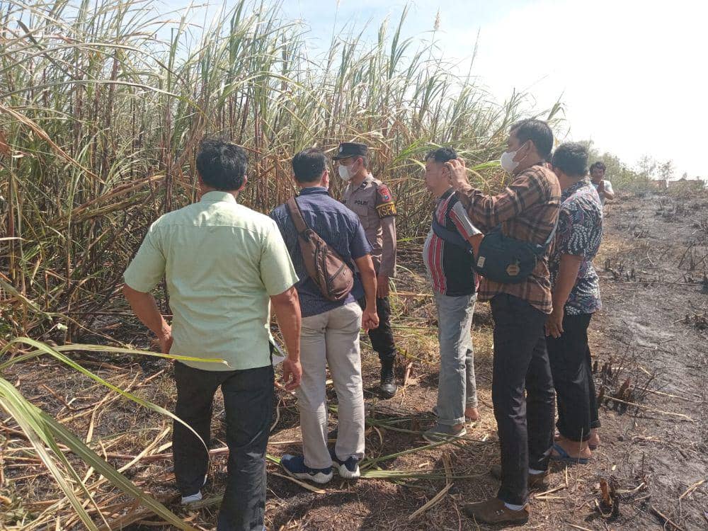 Dalam Sepekan 2 Petani Tebu di Magetan Terbakar, Satu Tewas