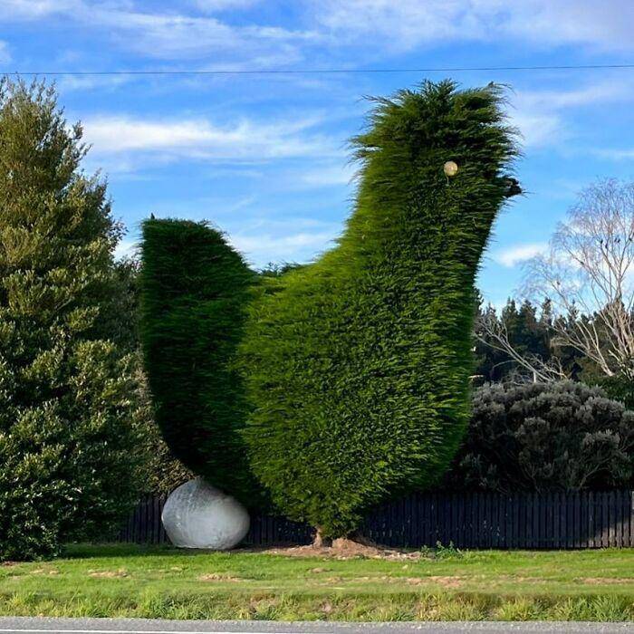 potret lucu make over taman (instagram.com/shitgardens)