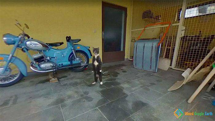 momen langka dan kocak tertangkap kamera (weirdgoogleearth.com)