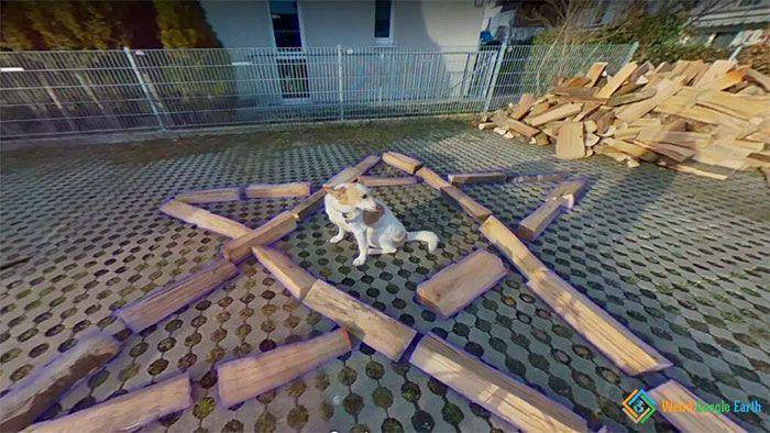 momen langka dan kocak tertangkap kamera (weirdgoogleearth.com)