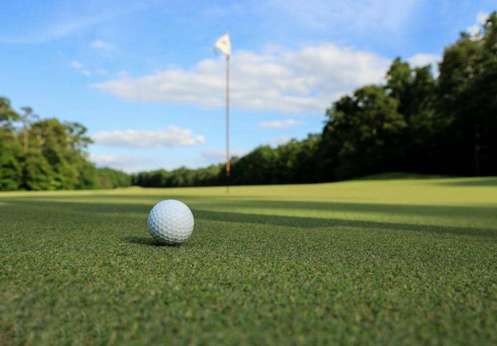 Eksekusi Hotel Sultan, Lapangan Golf Ottolima Senayan Diminta Evaluasi