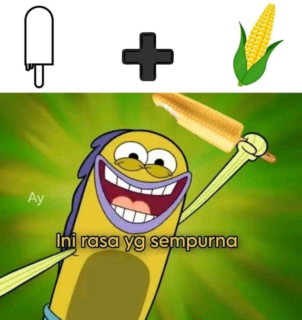 meme kombinasi sempurna (instagram.com/shitpost.indonesiaa)