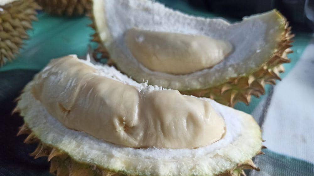 Durian Banyuwangi. (FOTO: IDN Times/ Agung Sedana)