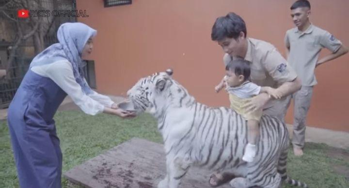 9 Potret Moana Anak Ria Ricis Main Bareng Harimau Alshad Ahmad