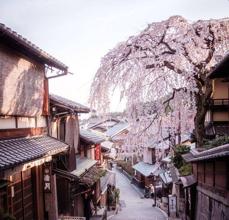 Pemukiman warga Jepang di desa (Pinterest/Alo Japan)