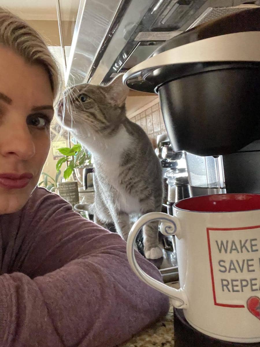 potret kucing jadi barista (reddit.com/user/Any_Elephant_655)