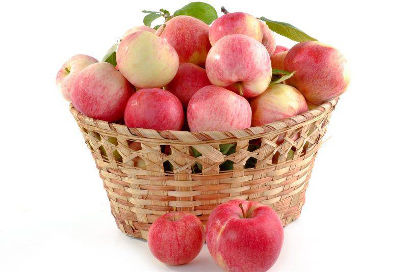 ilustrasi buah apel (pixabay.com/Larisa-K)