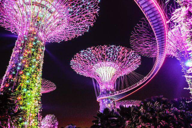 Pemandangan Gardens by the Bay di malam hari (unsplash.com/Timo Wagner)