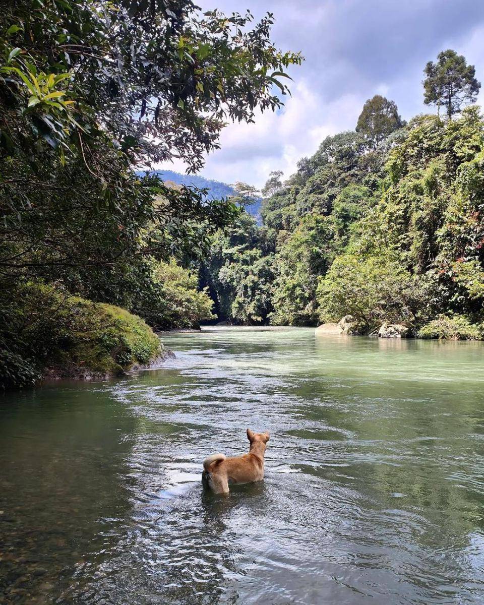 Nicholas Saputra (instagram.com/nicholassaputra)