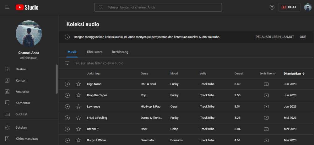 YouTube Audio Library (dok. YouTube)