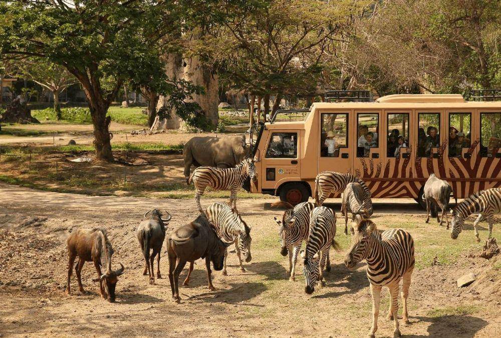 Bali Safari and Marine Park (balisafarimarinepark.com)