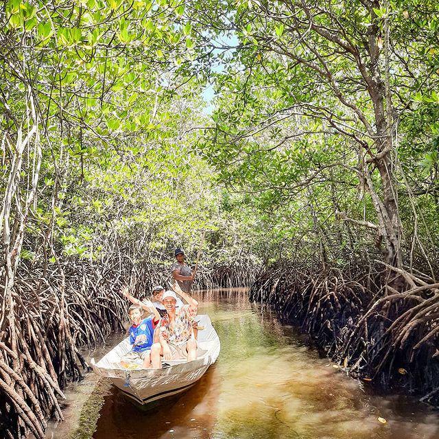 Tiket Masuk Hutan Mangrove Nusa Lembongan, Naik Perahu Lokal