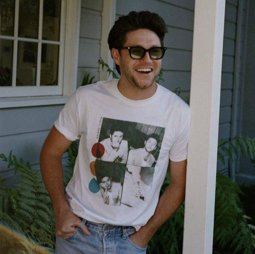 potret Niall Horan (instagram.com/niallhoran)