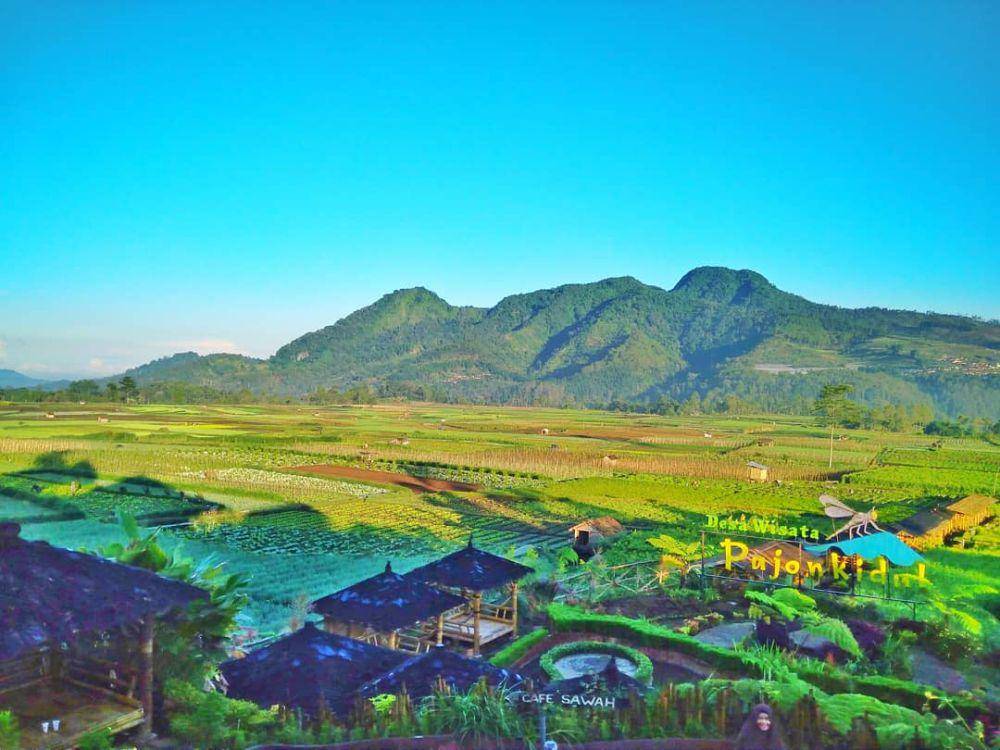 Desa wisata Pujon Kidul yang ada di Kabupaten Malang. Instagram/desawisata_pujonkidul
