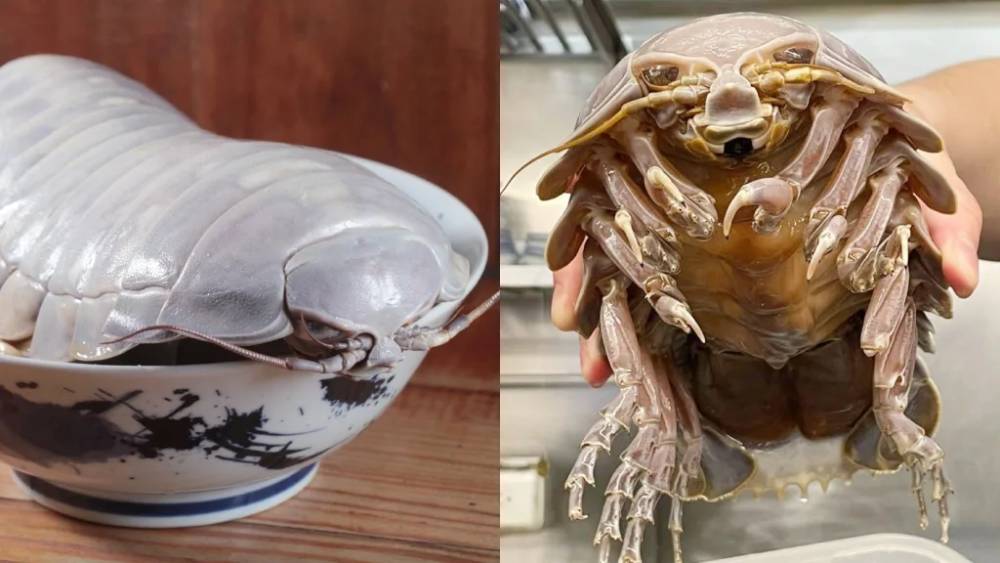 potret kombinasi aneh mie dengan makanan lain (reddit.com/r/NewsOfTheWeird)