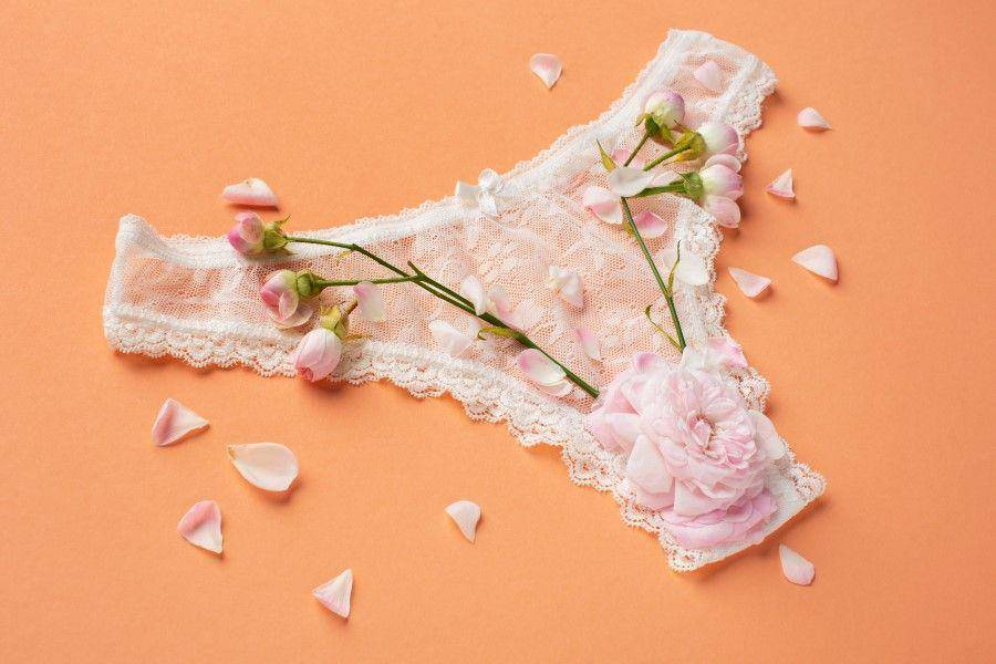 ilustrasi celana dalam perempuan (freepik.com/Freepik)