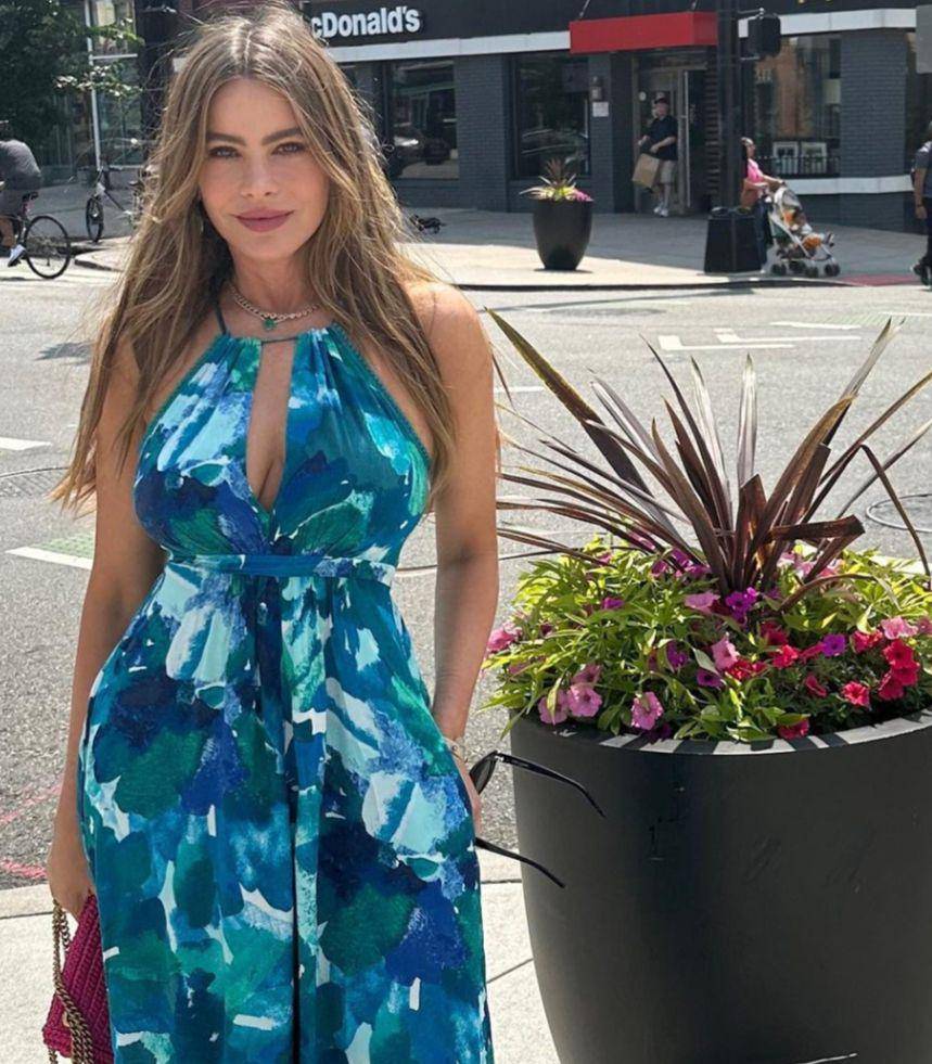 Sofia Vergara (instagram.com/sofiavergara)