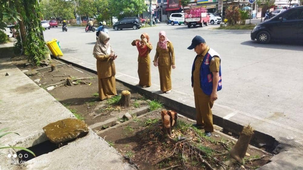 DLH Makassar Beri Sanksi Warga Penebang Pohon di Jalan Boulevard