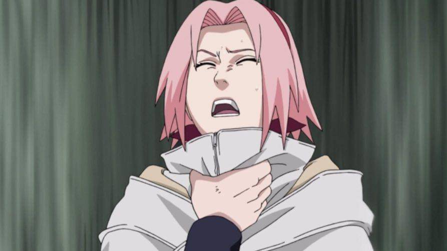 Studio Pierrot/Naruto Shippuden