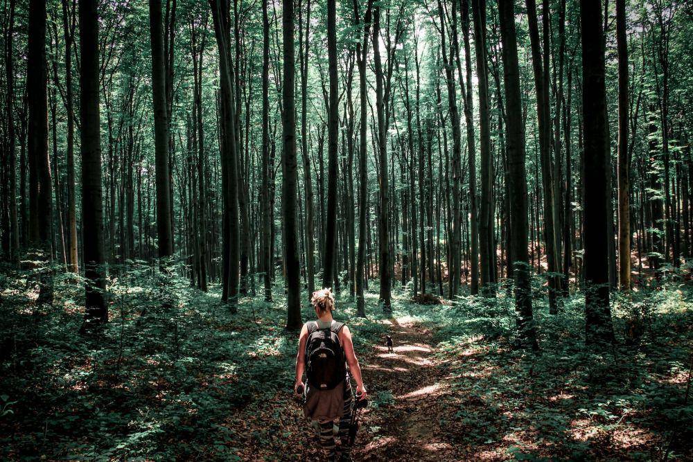 Ilustrasi perempuan di hutan (unsplash.com/Valentin Salja)