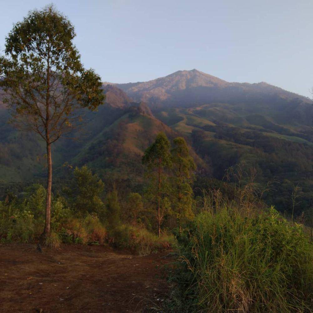 Panorama Puncak Budug Asu. (IDN Times/Rizal Adhi Pratama)