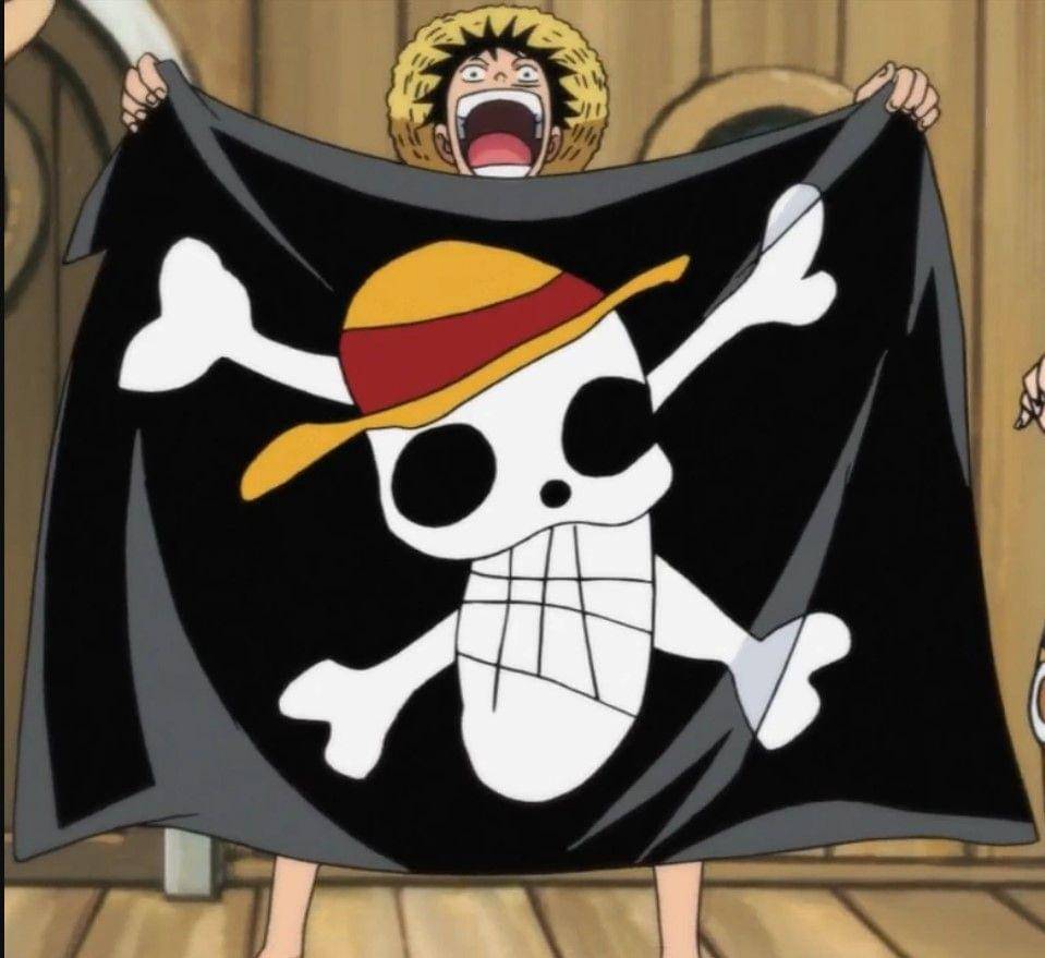 (Dok. Toei Animation/One Piece)