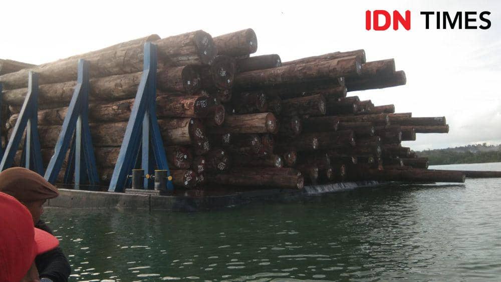 Kayu yang dimuat ke kapal tongkang di Mentawai. Doc. IDN Times