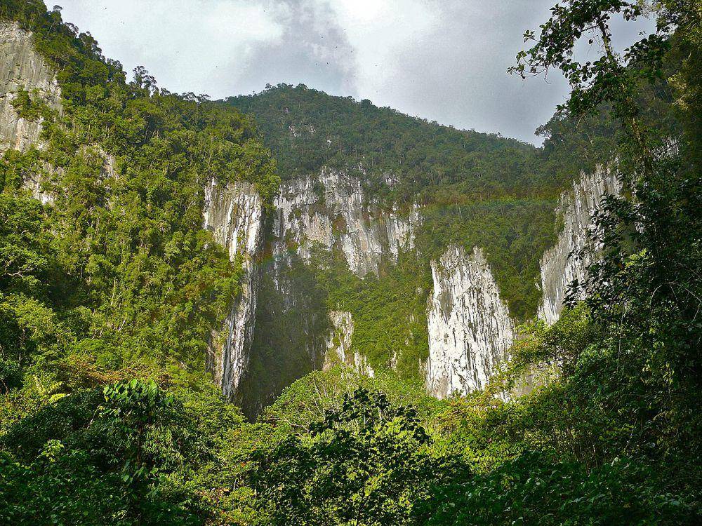 Taman Nasional Gunung Mulu (commons.wikimedia.org/Bernard DUPONT)