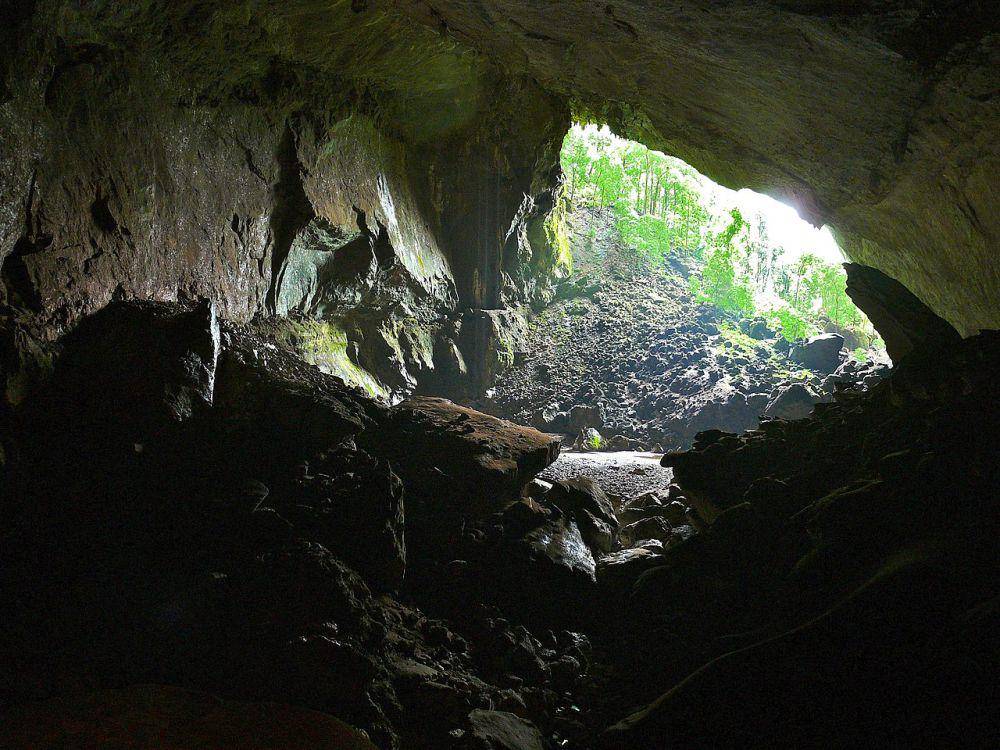 Taman Nasional Gunung Mulu (commons.wikimedia.org/Bernard DUPONT)