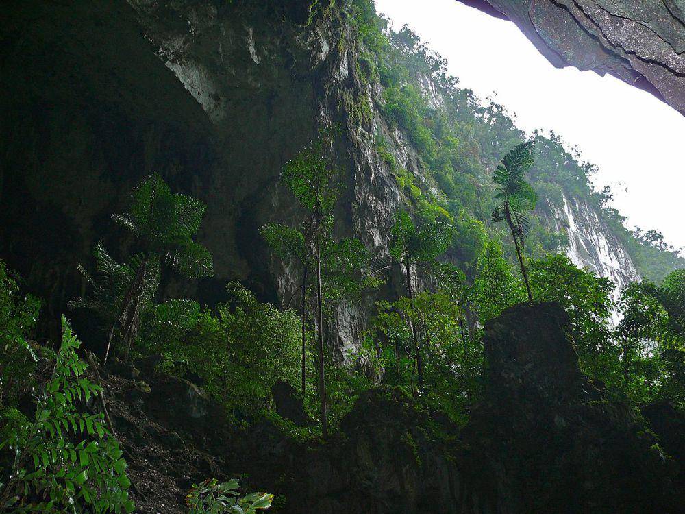 Taman Nasional Gunung Mulu (commons.wikimedia.org/Bernard DUPONT)
